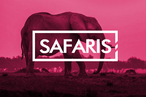 Safaris