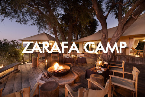 Zarafa Camp
