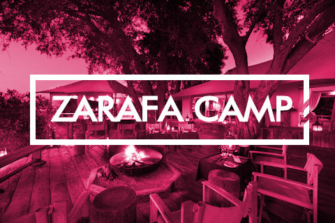Zarafa Camp