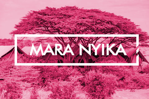 Mara Nyika