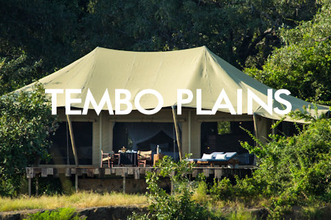 Tembo Plains