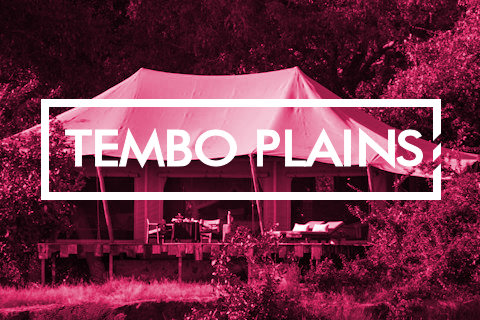 Tembo Plains